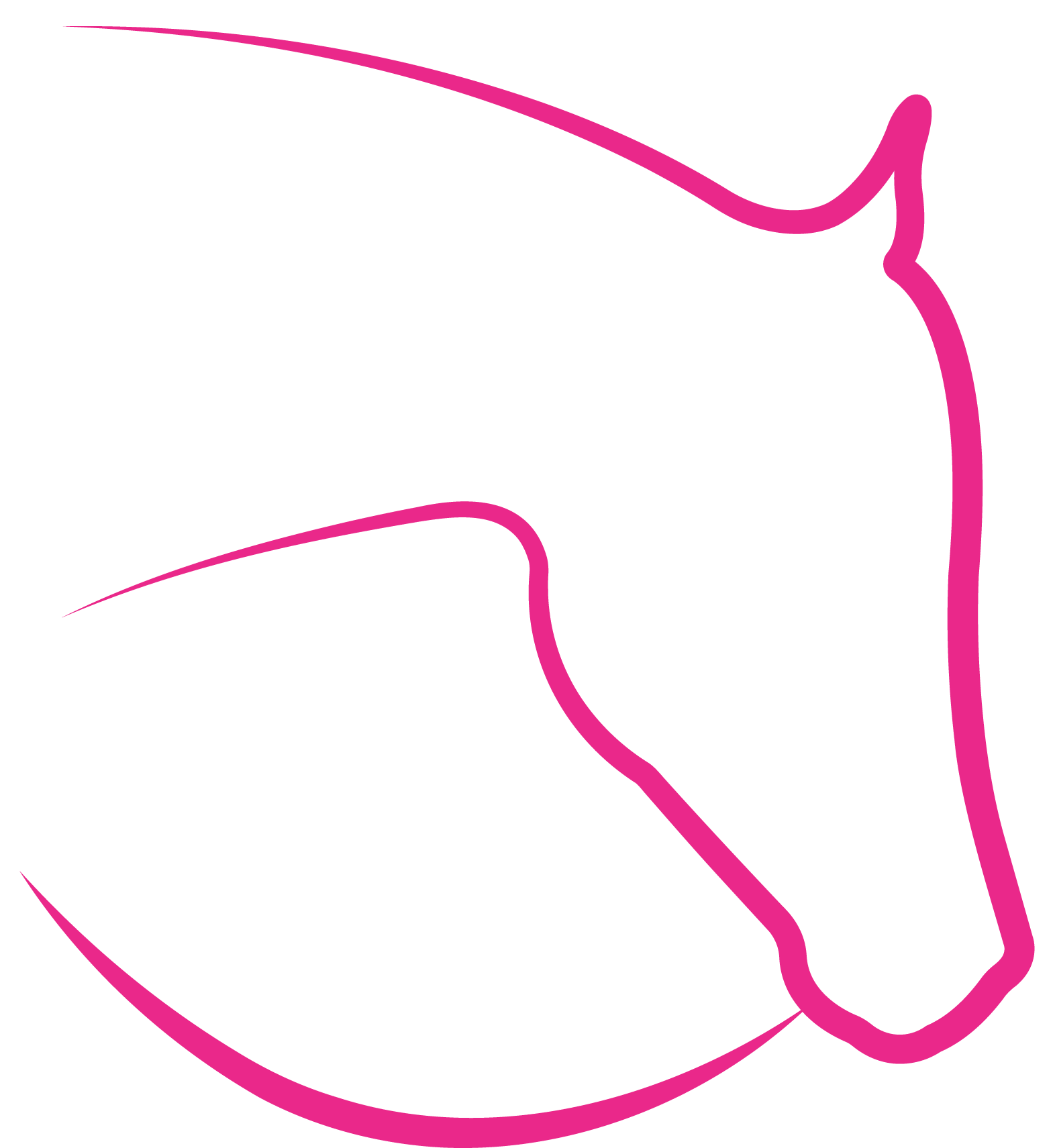 Logo Alex Doman Sportpferdetherapie Bildmarke