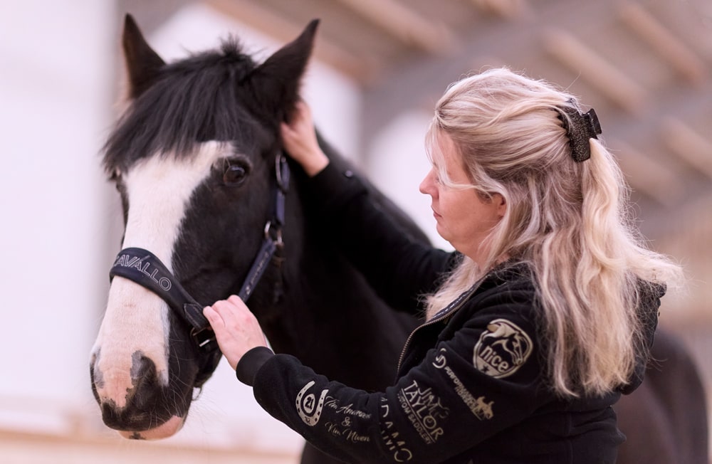 Alex Doman Sportpferdetherapie Dorn Osteopathie Physiotherapie fuer Pferde Nuernberg Aurachtal